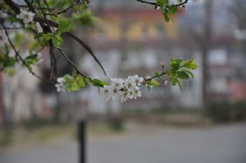 Anlık Fotoğraf Çekimleri