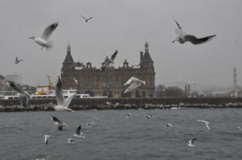 Anlık Fotoğraf Çekimleri
