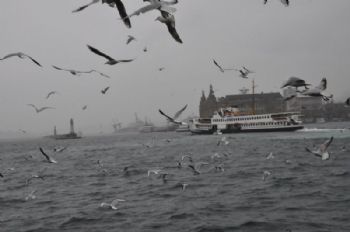 Anlık Fotoğraf Çekimleri