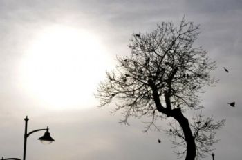 Anlık Fotoğraf Çekimleri