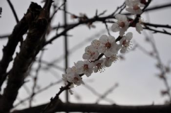 Anlık Fotoğraf Çekimleri
