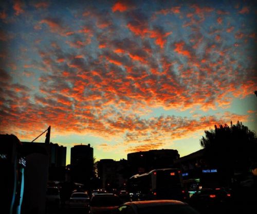 Anlık Fotoğraf Çekimleri