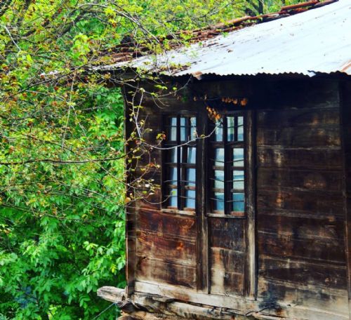 Anlık Fotoğraf Çekimleri