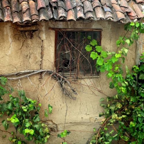Anlık Fotoğraf Çekimleri