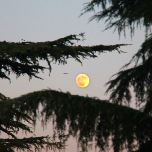 Anlık Fotoğraf Çekimleri